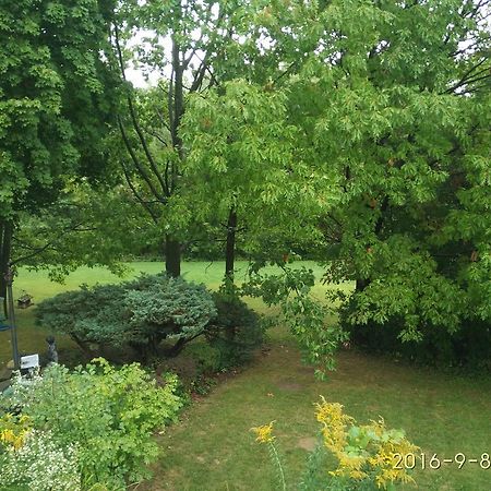 多伦多邓肯公园民宿 Toronto Duncan Park Guesthouse Luaran gambar